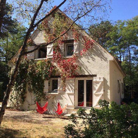 Chambres Au Coeur Du Massif Des Trois Pignons Noisy-sur-Ecole Esterno foto
