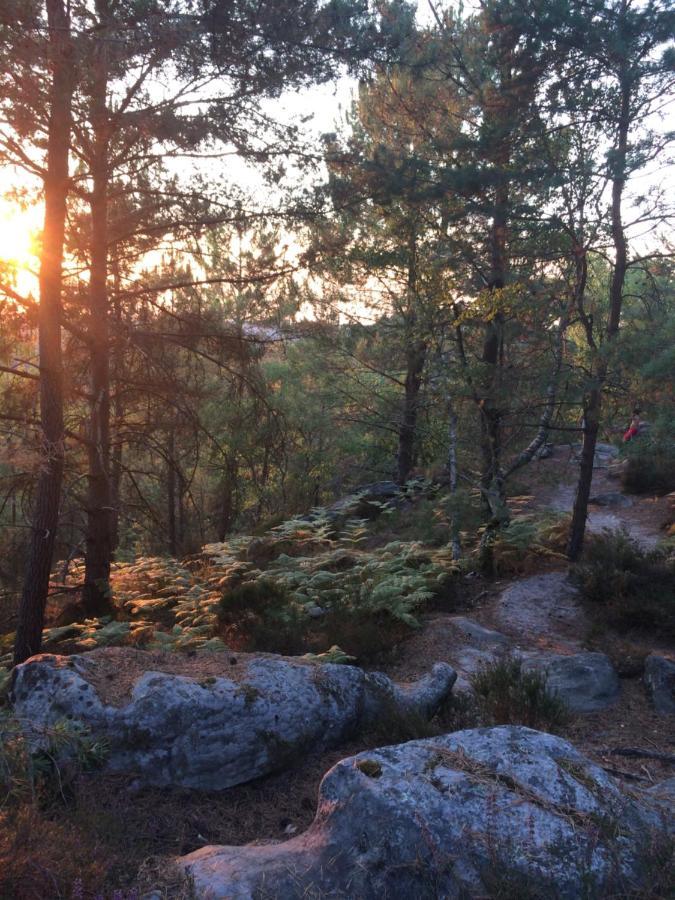 Chambres Au Coeur Du Massif Des Trois Pignons Noisy-sur-Ecole Esterno foto