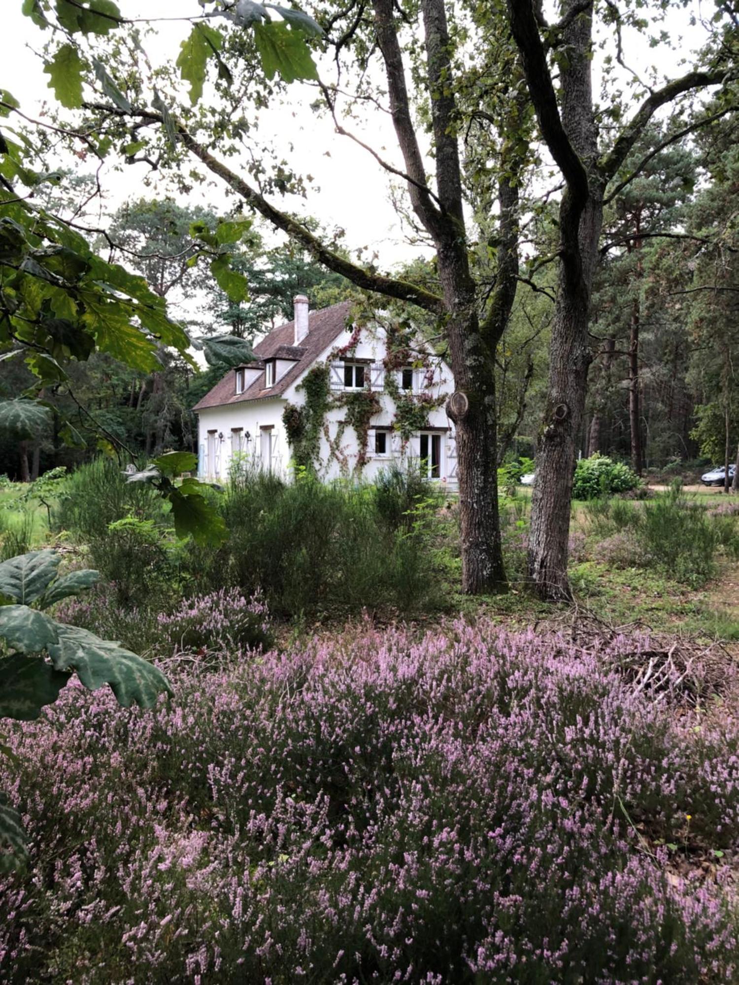Chambres Au Coeur Du Massif Des Trois Pignons Noisy-sur-Ecole Esterno foto